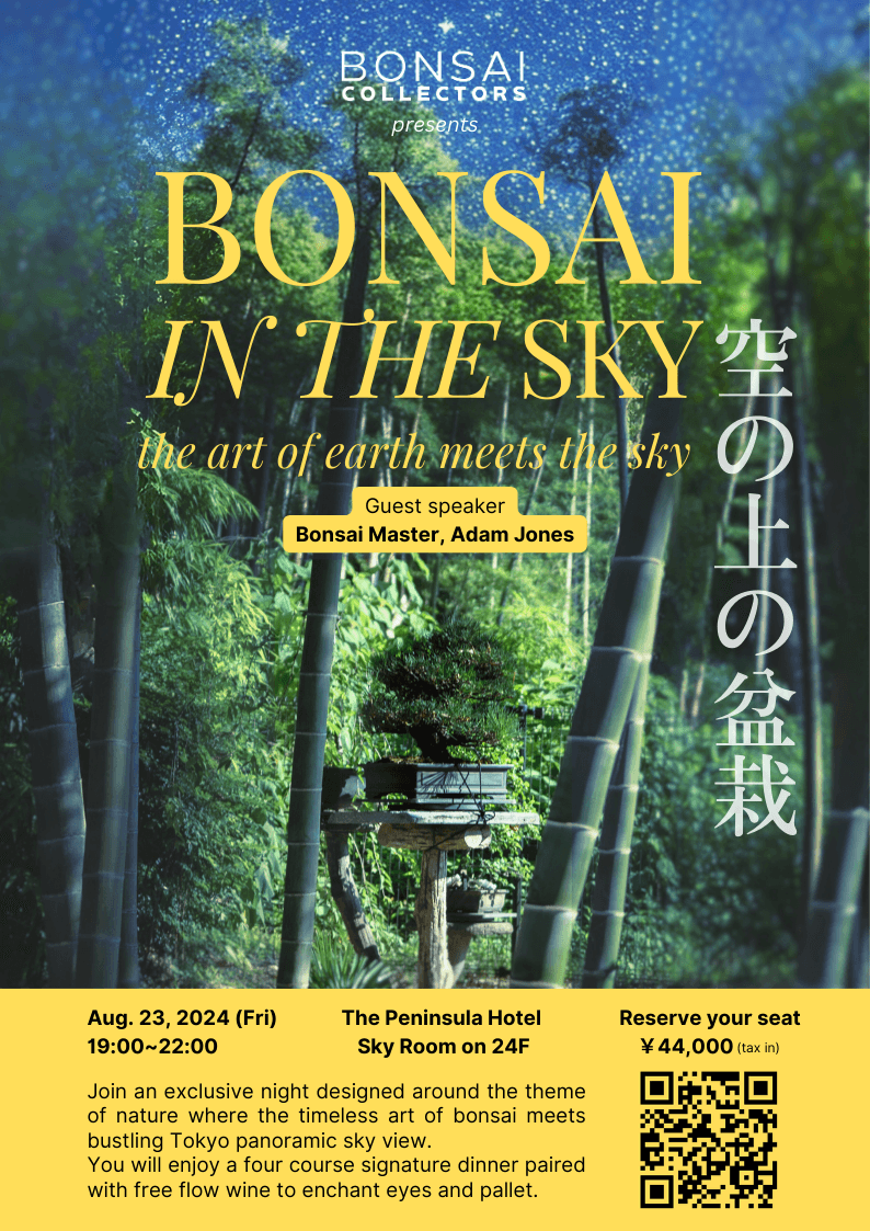 Bonsai in the Sky - Dinner