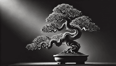 The Luxury of Bonsai Collecting