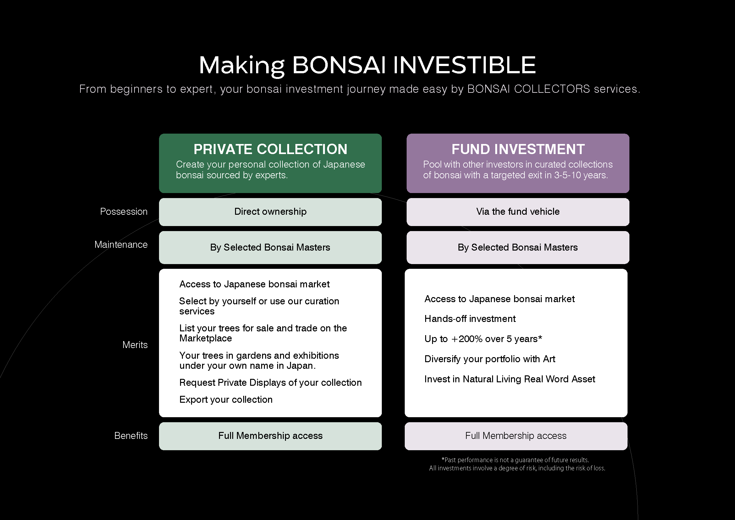 About section image 11